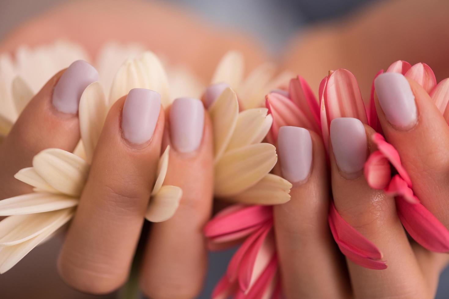 manos de mujer con manicura sosteniendo flor foto