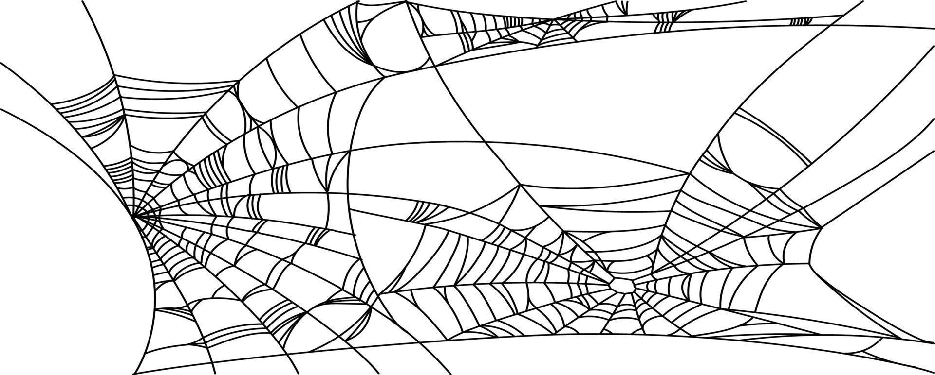 partes de la tela de araña vector