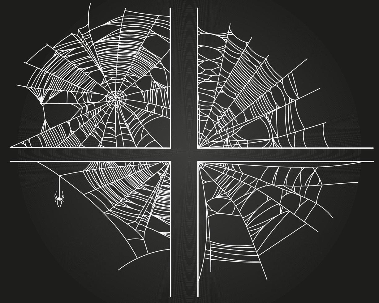 partes de la tela de araña vector