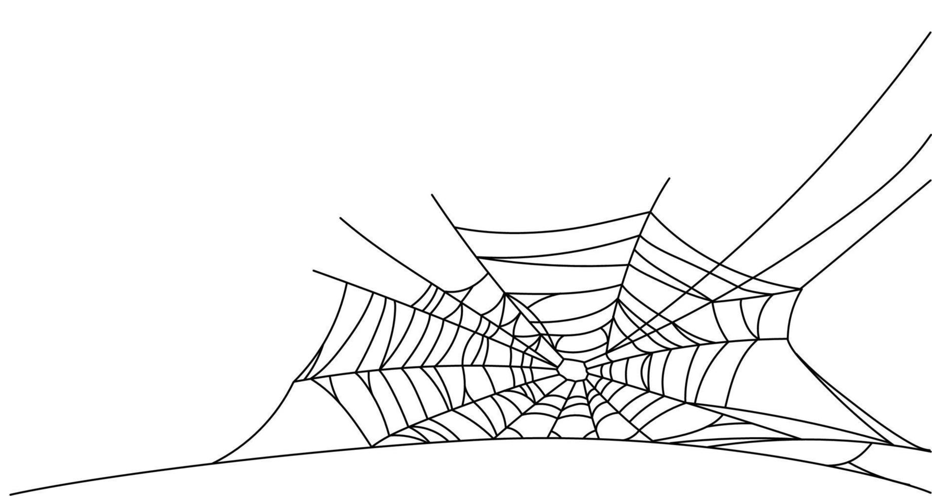 Spider web parts vector