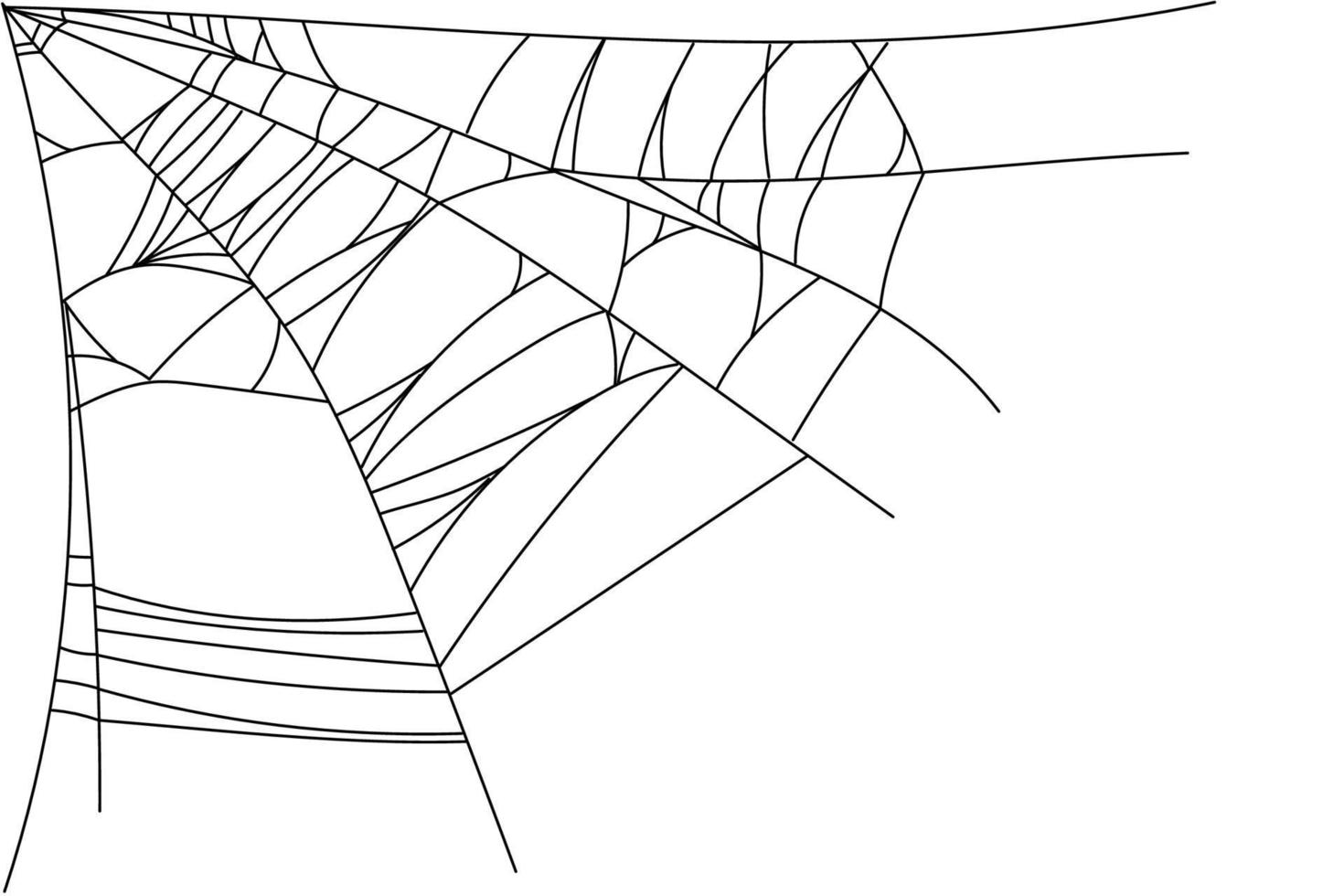 partes de la tela de araña vector