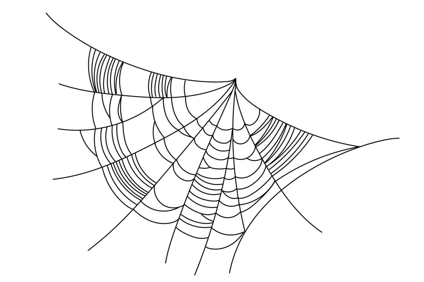 Spider web parts vector