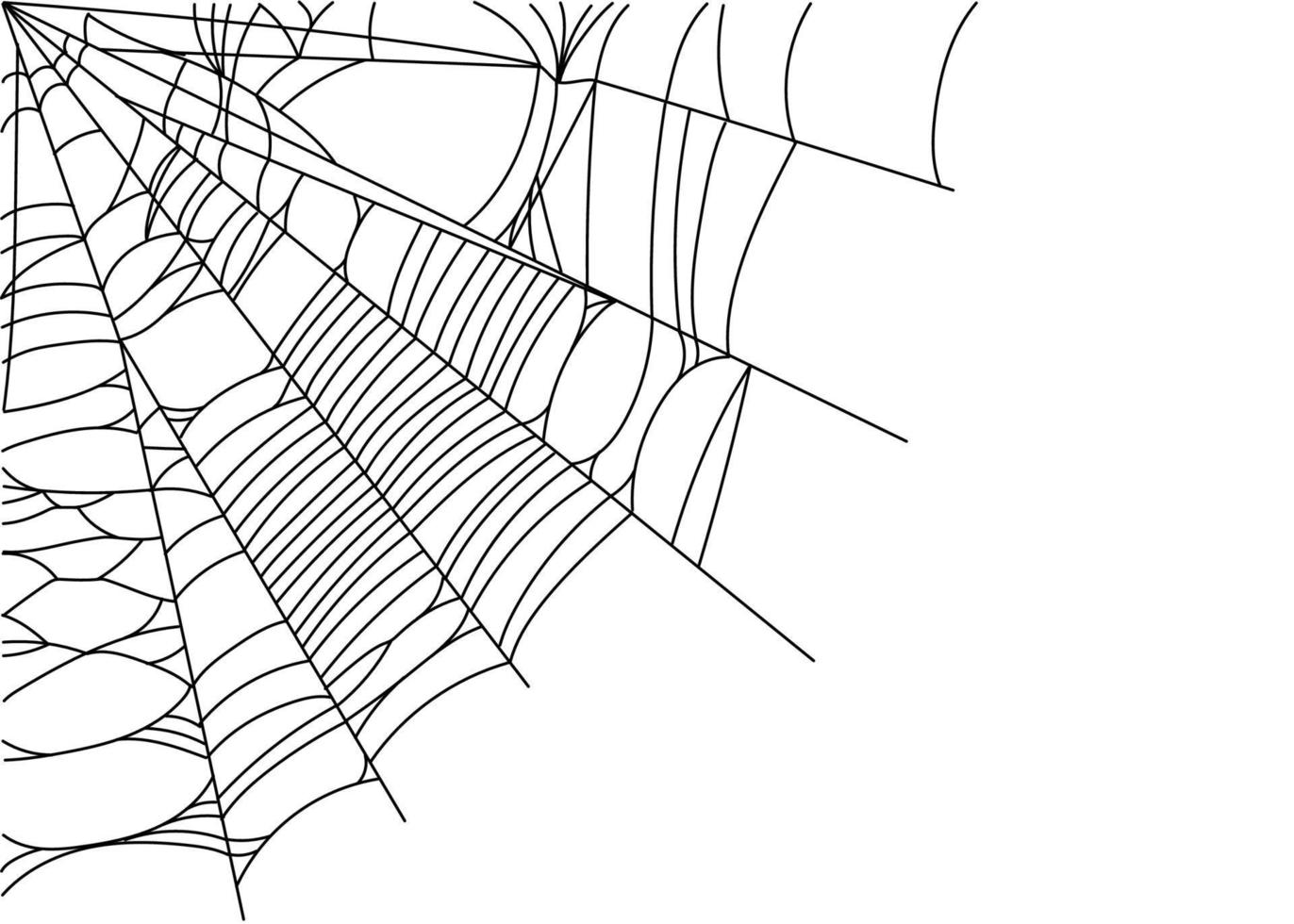 Spider web parts vector