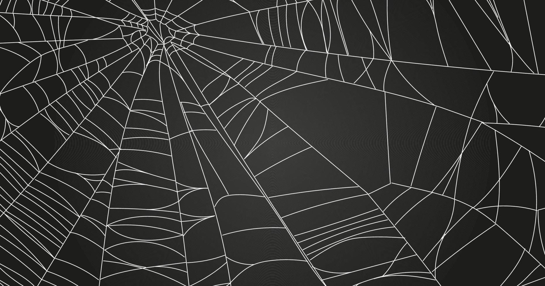 partes de la tela de araña vector