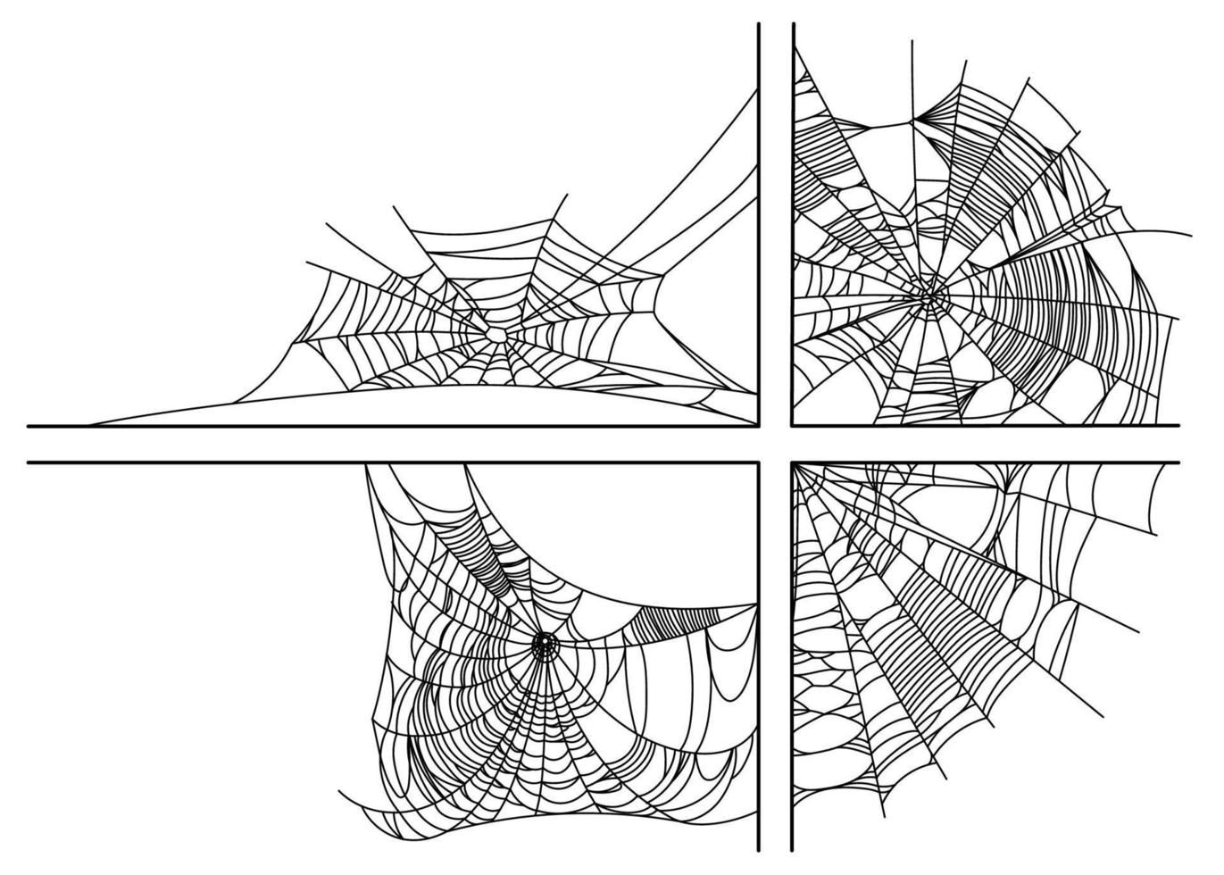 partes de la tela de araña vector