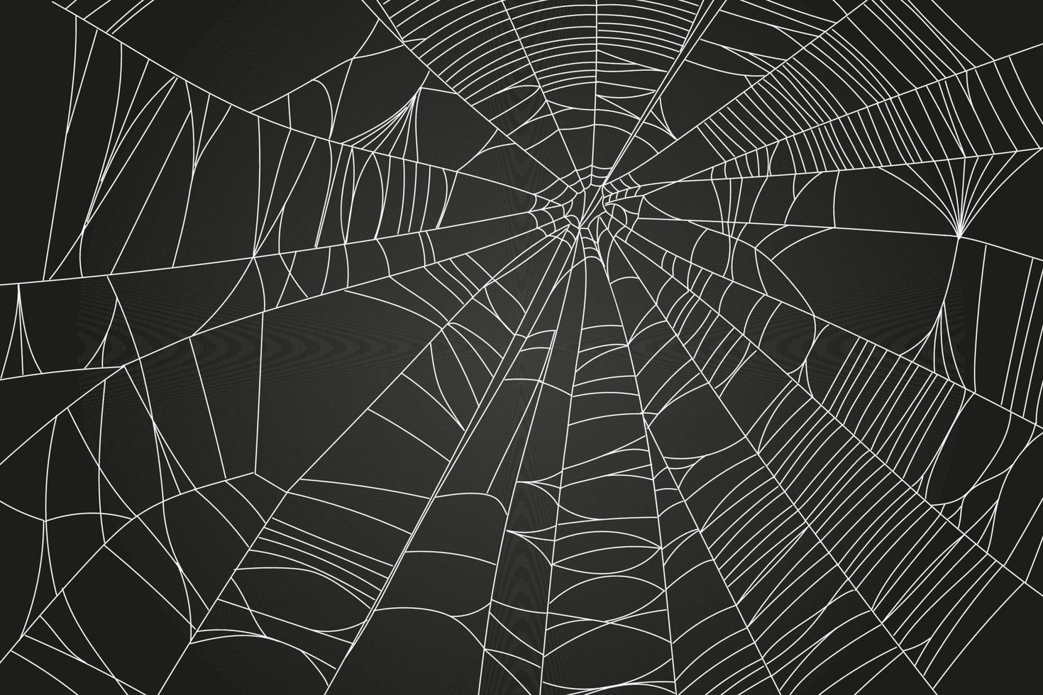 Spider web parts vector