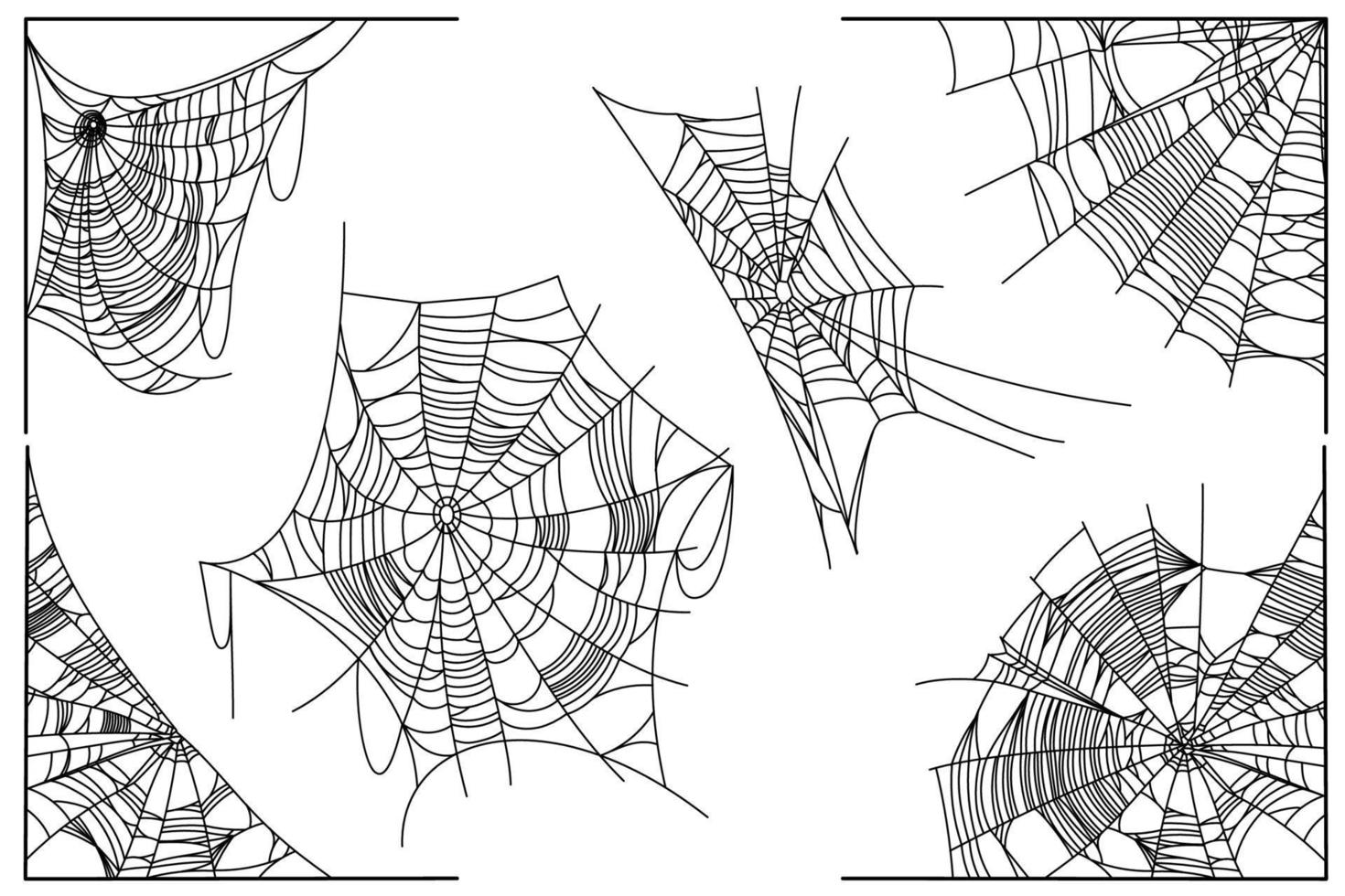 partes de la tela de araña vector