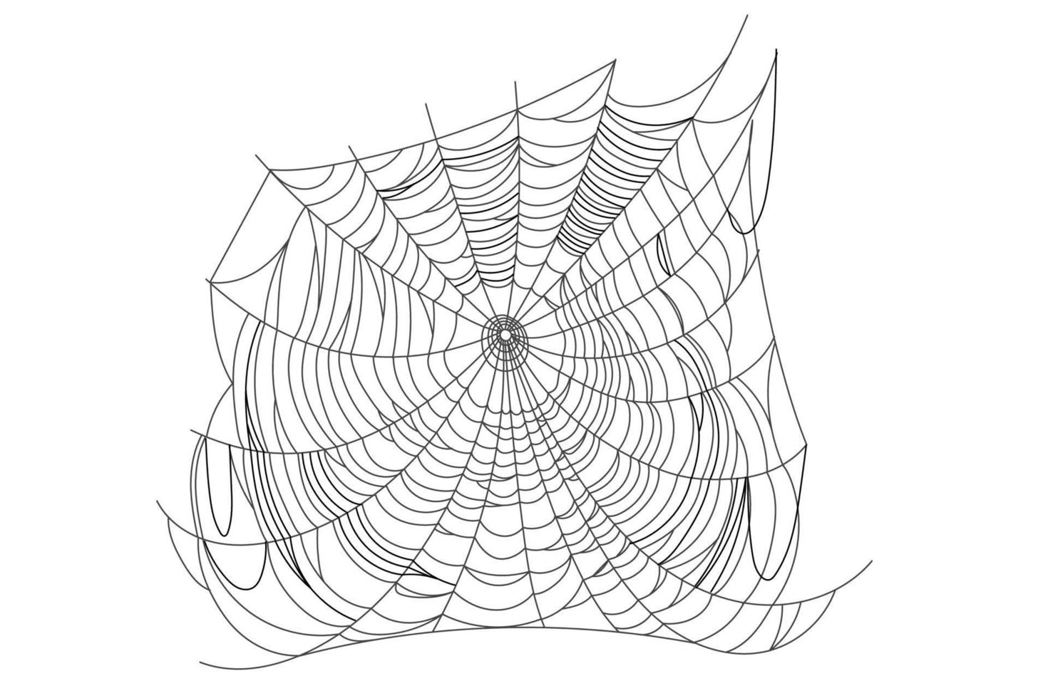 Spider web parts vector