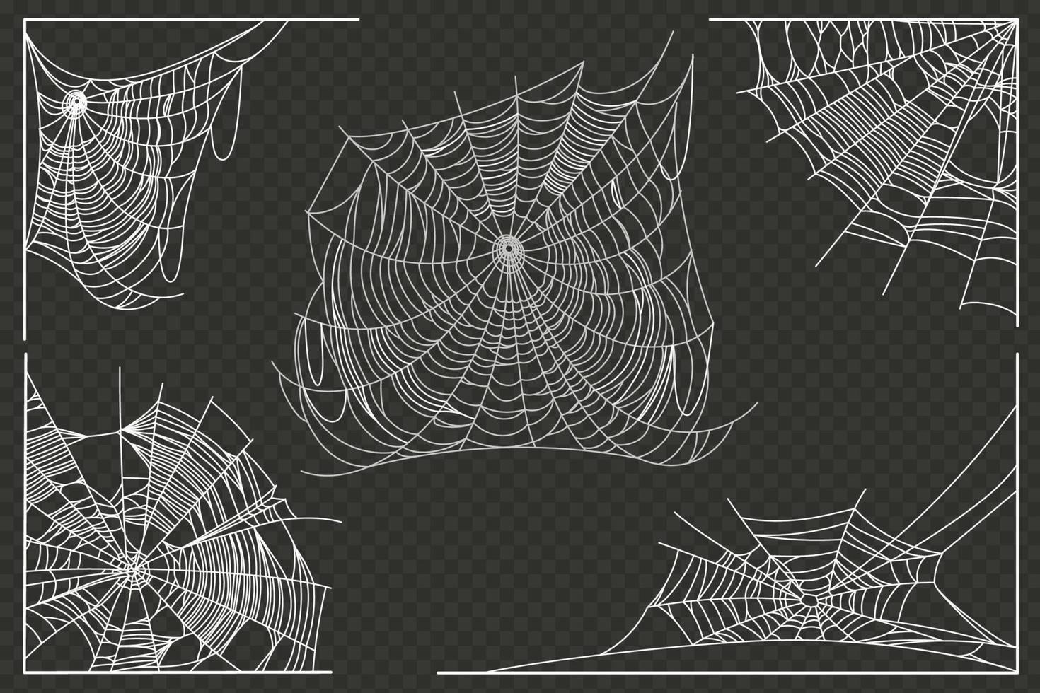 Spider web parts vector