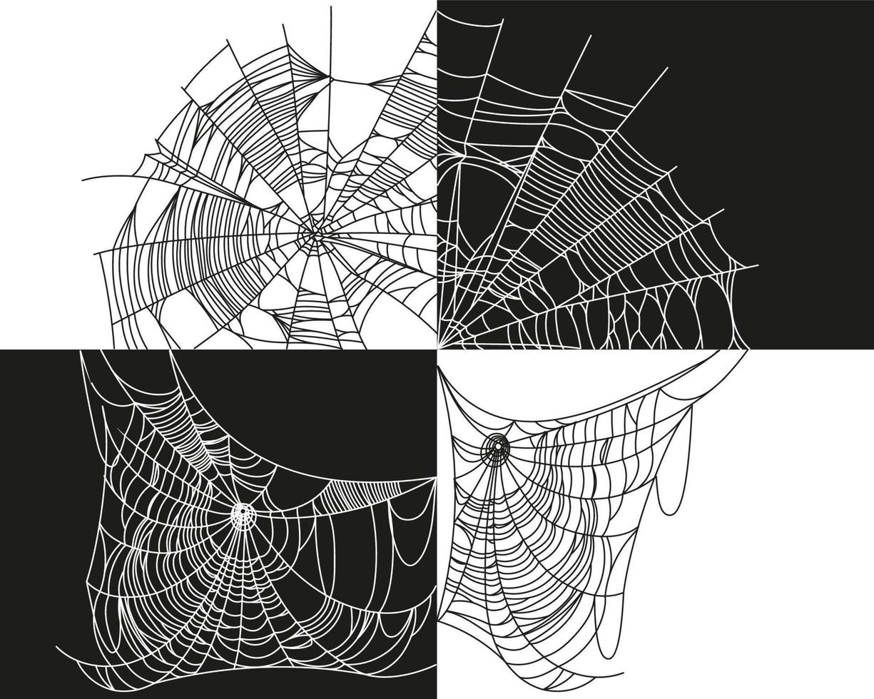 Spider web parts vector