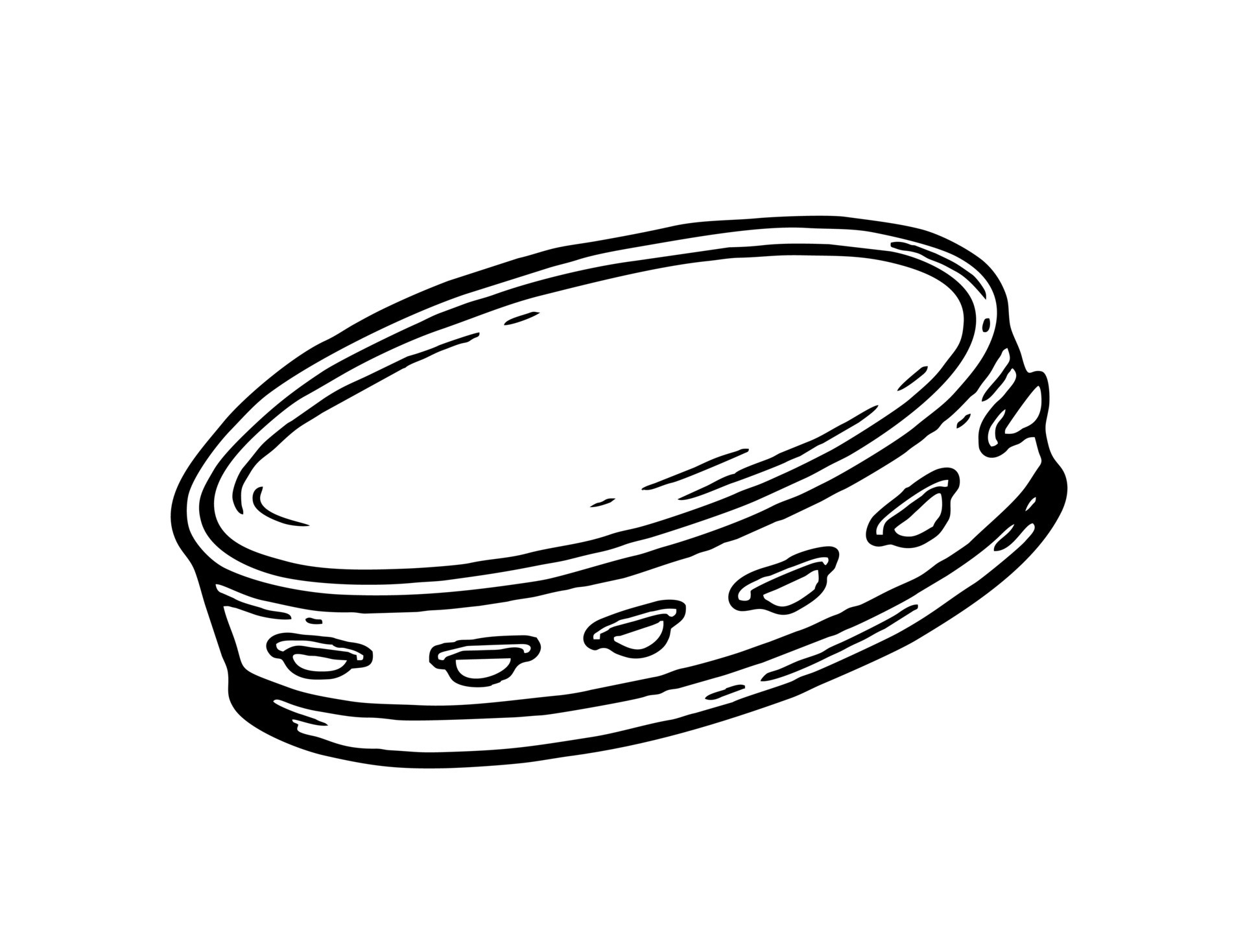 Tambourine musical instrument style hand drawn. Vector black and white
