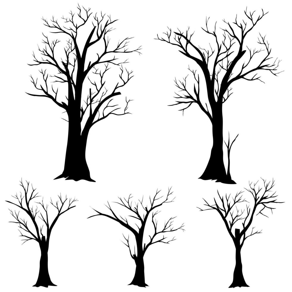 Tree silhouette without leaves for seasonal tree illustration vector