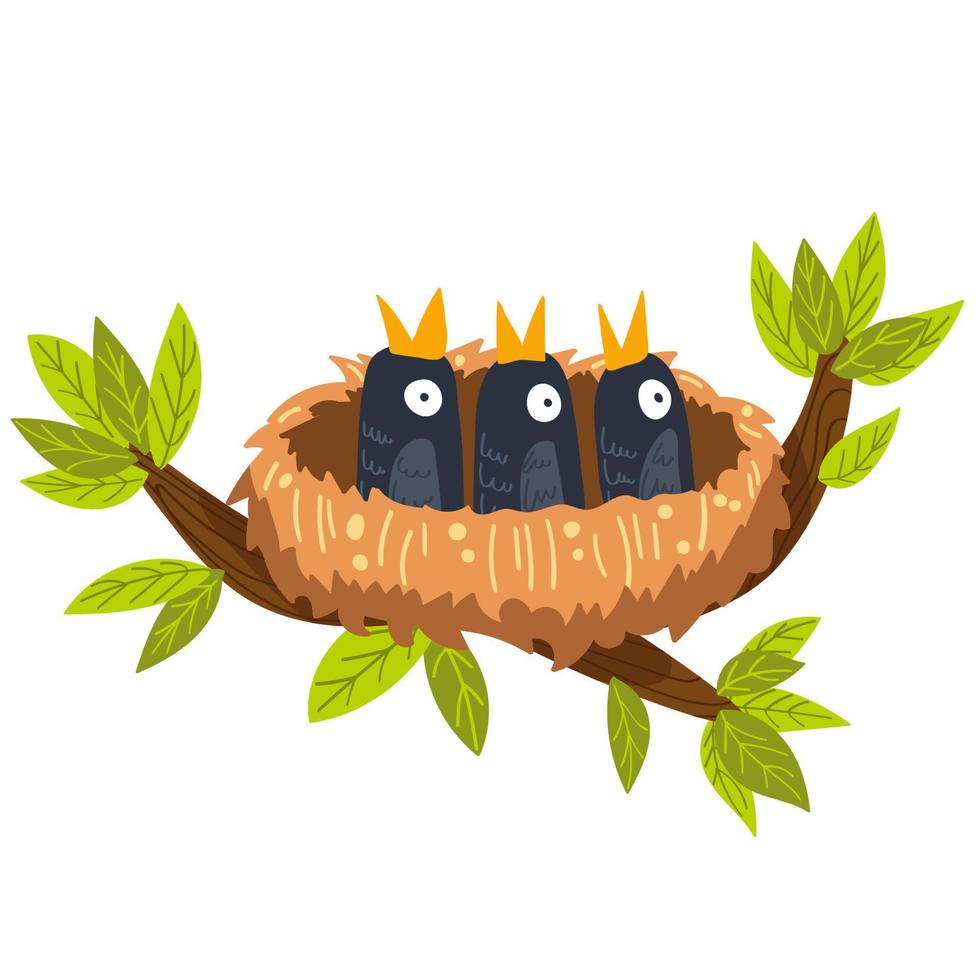 bird nest with chicks, vector illustration