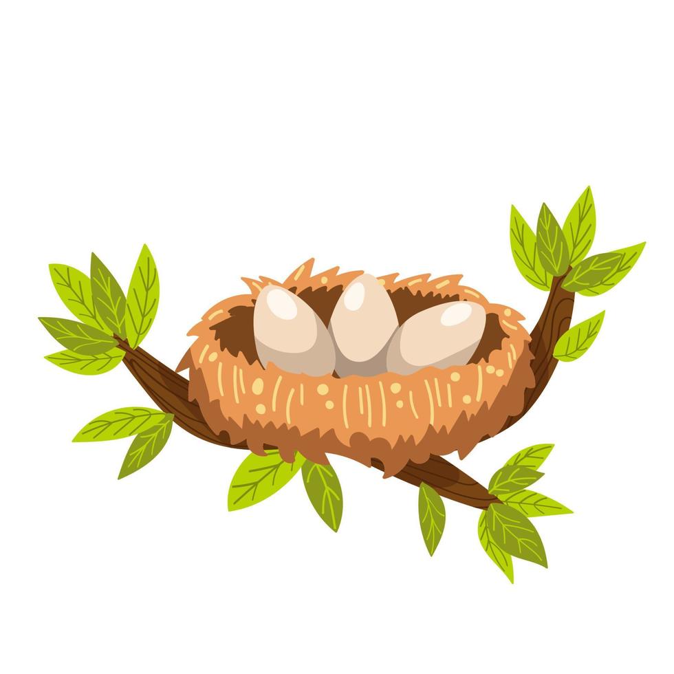 bird nest with eggs, vector illustration