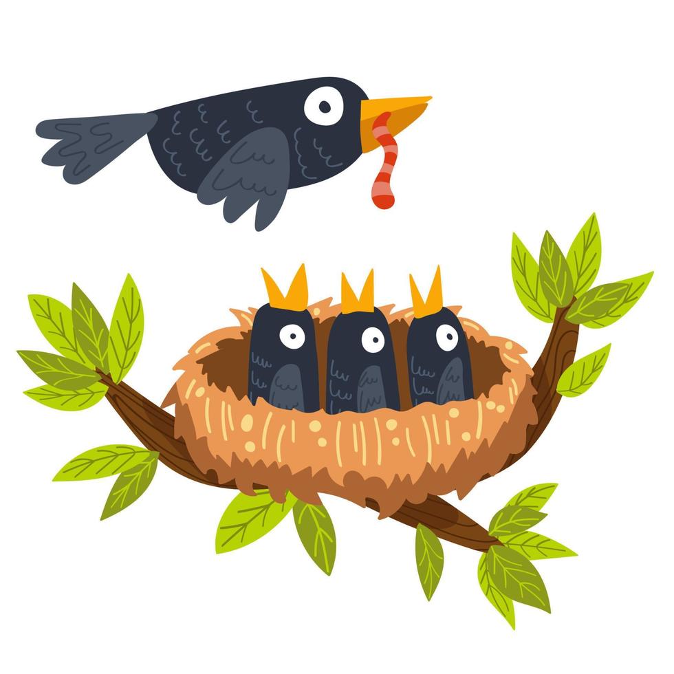 bird nest with chicks, bird feeds chicks, vector illustration