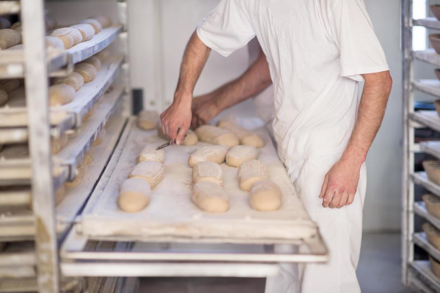 bakers preparing the dough photo