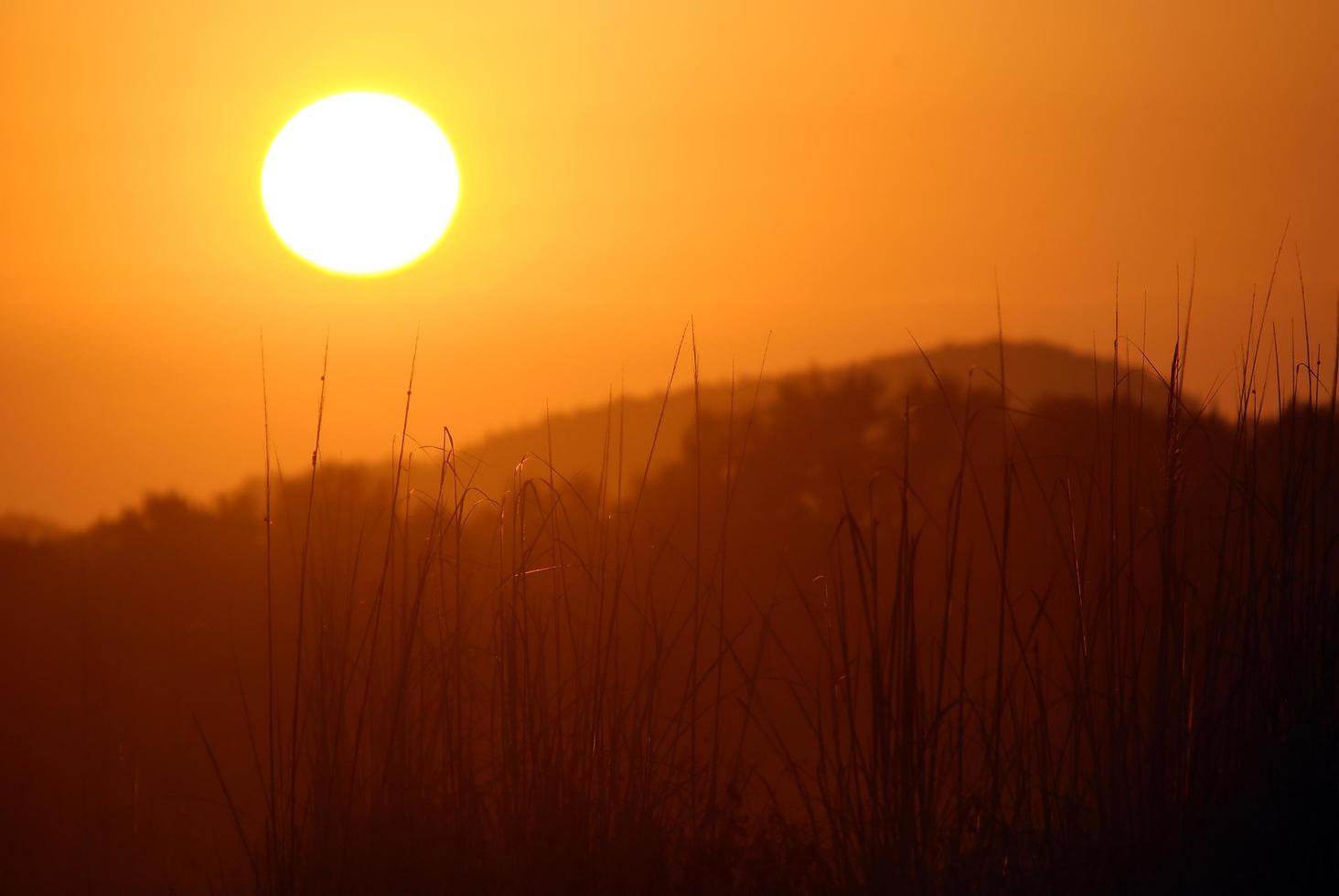 vista del amanecer de verano foto