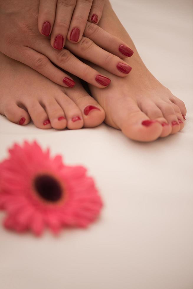 female feet and hands at spa salon photo