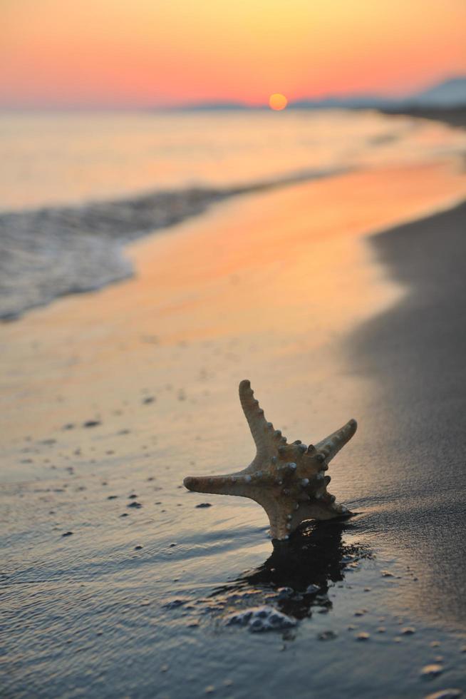 summer beach sunset with star on beach photo