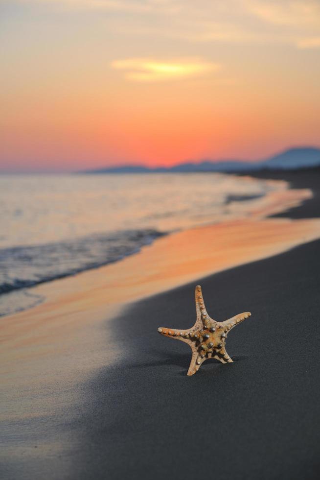 summer beach sunset with star on beach photo