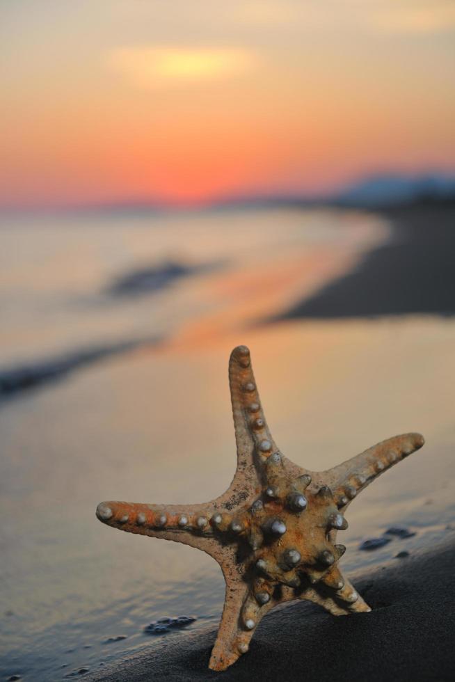 summer beach sunset with star on beach photo