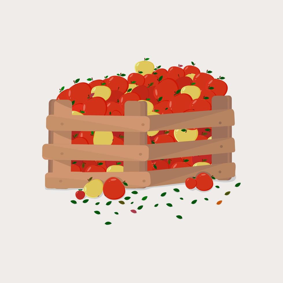 A box of fragrant, juicy autumn apples. vector