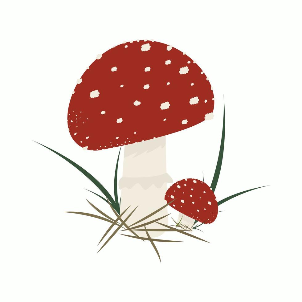 Poisonous beautiful fly agaric on a thin leg in the forest vector