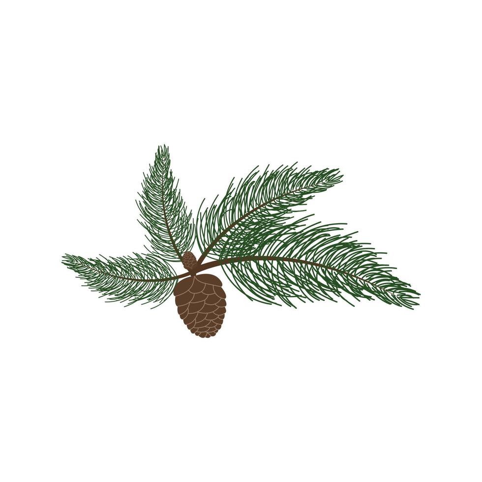 A small brown cone hangs on a spruce branch in an autumn forest vector