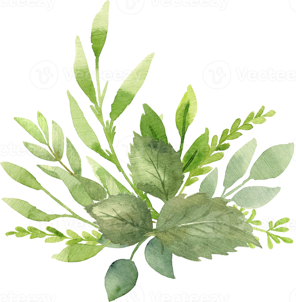 Greenery bouquet with eucalyptus, spring leaves and branches. Botanical Watercolor illustration. Floral Design elements. Perfect for wedding invitations, greeting cards, prints, packing, posters png