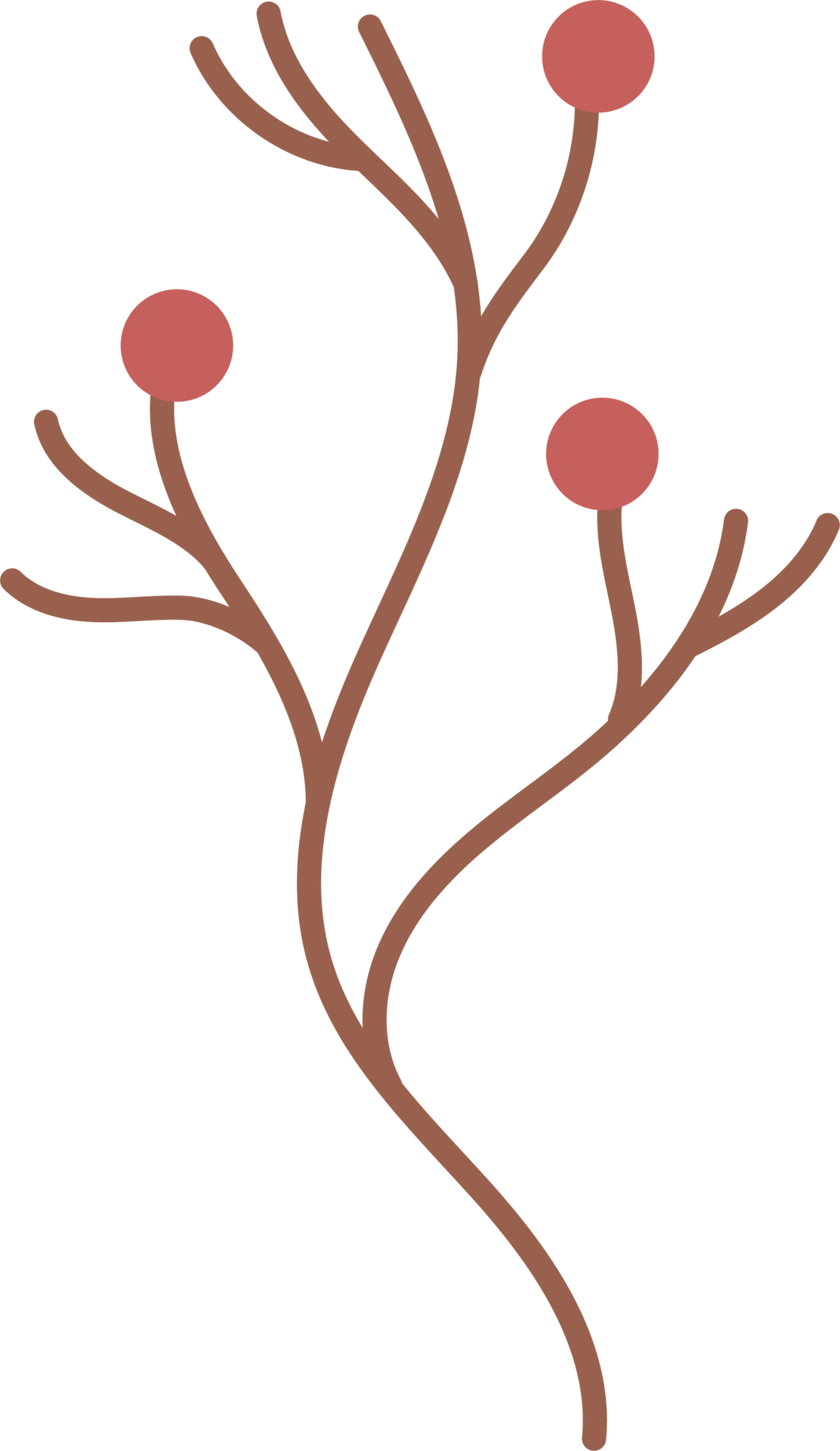 Branch with red berries. Decor 12658566 PNG