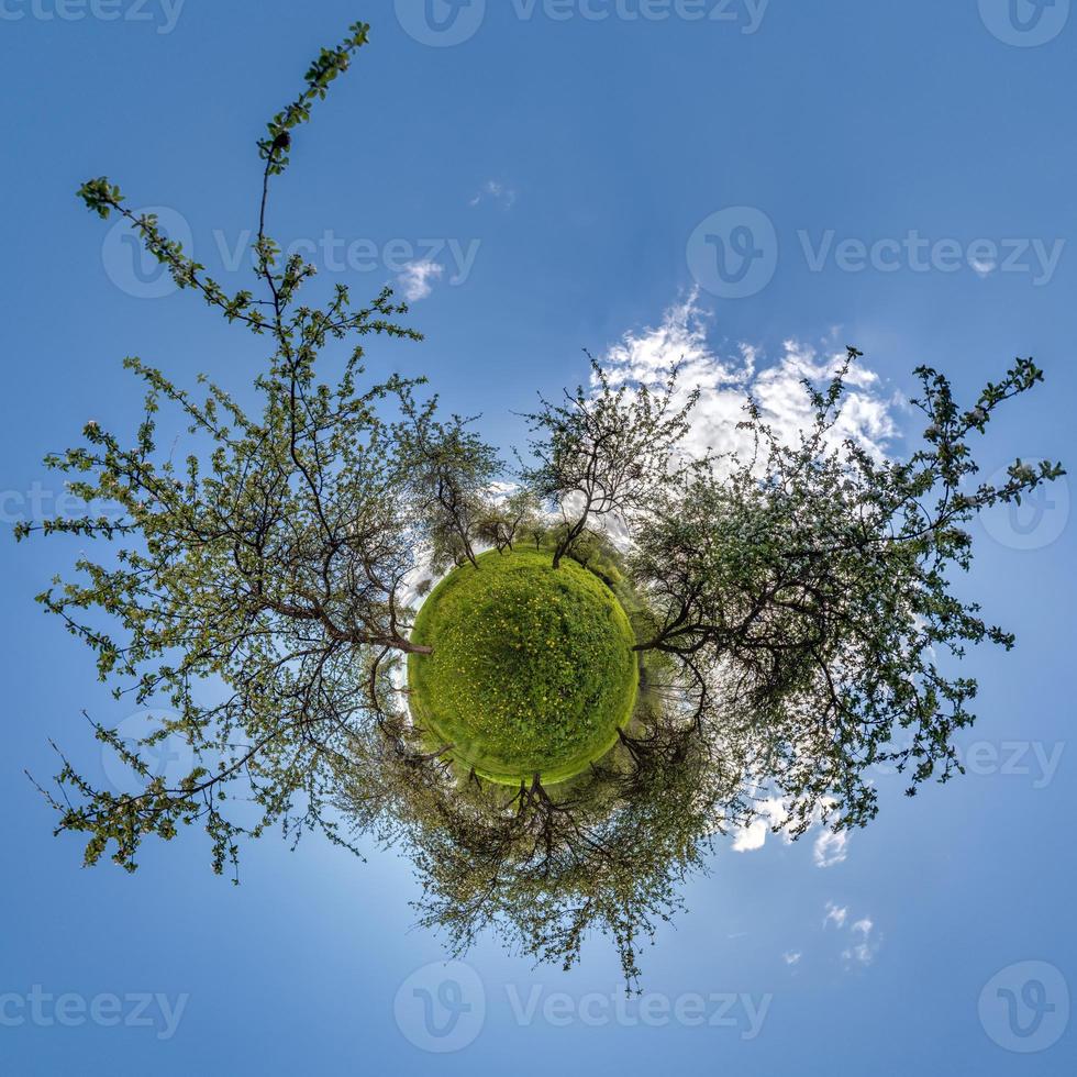 tiny planet transformation of spherical panorama 360 degrees. Spherical abstract aerial view on green maple forest. Curvature of space. photo