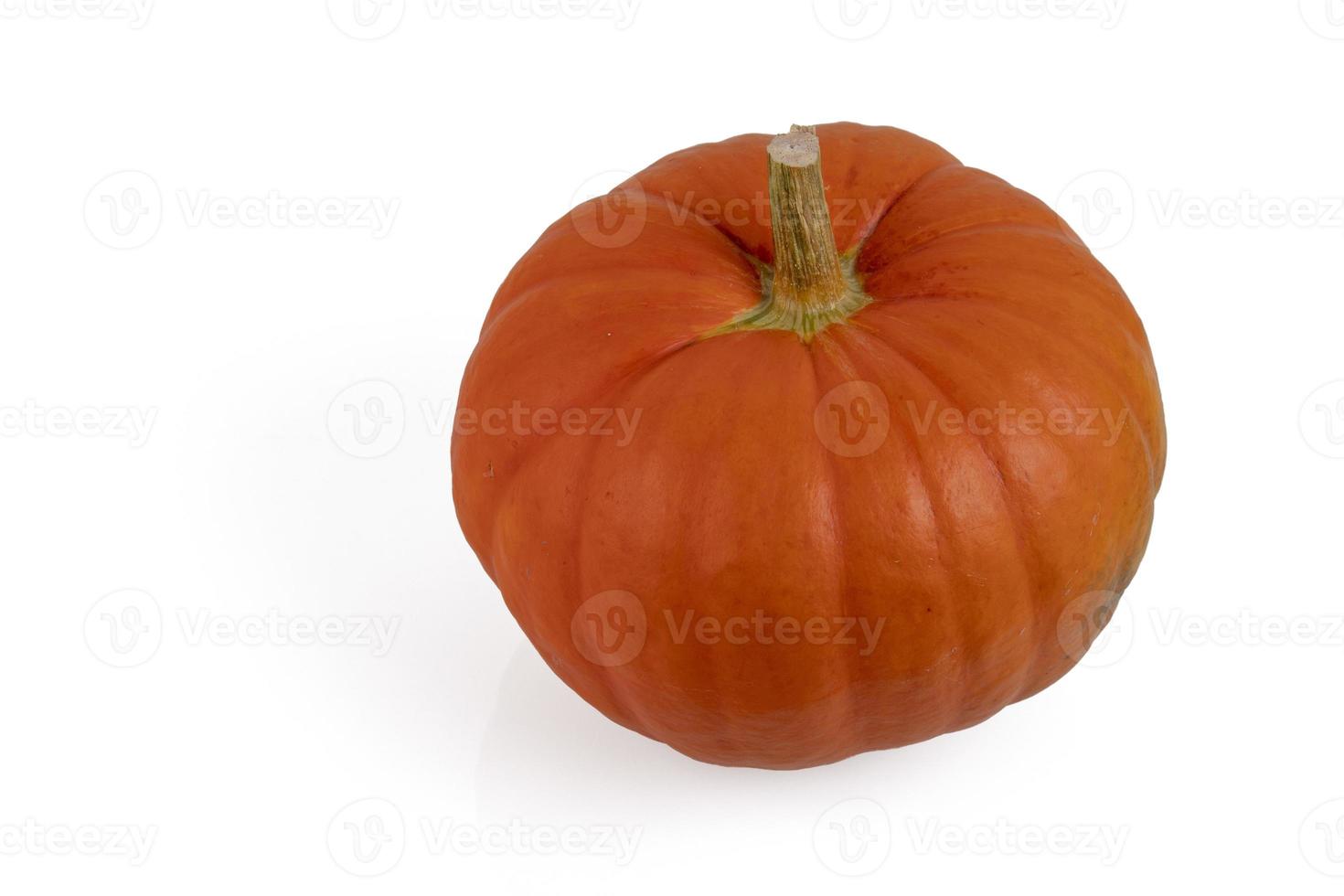 Orange pumpkin on a white isolated background. photo