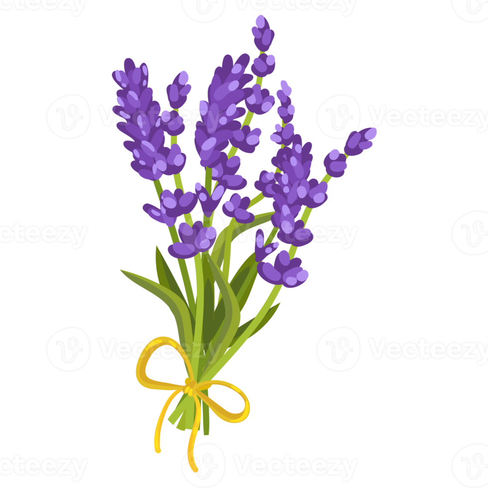 Flower and Leaf Illustration png
