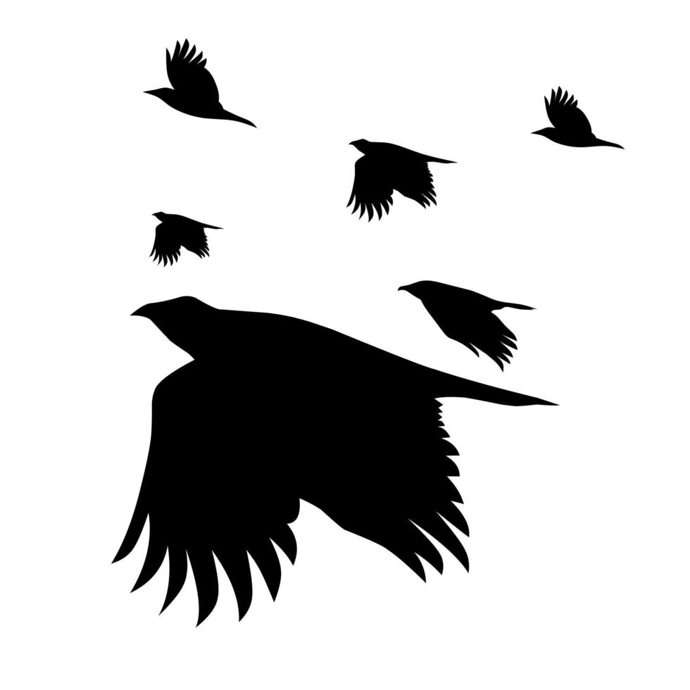 Silhouette of a flock of flying crows. Isolated on a white background. Great for Halloween themed posters. Vector illustration