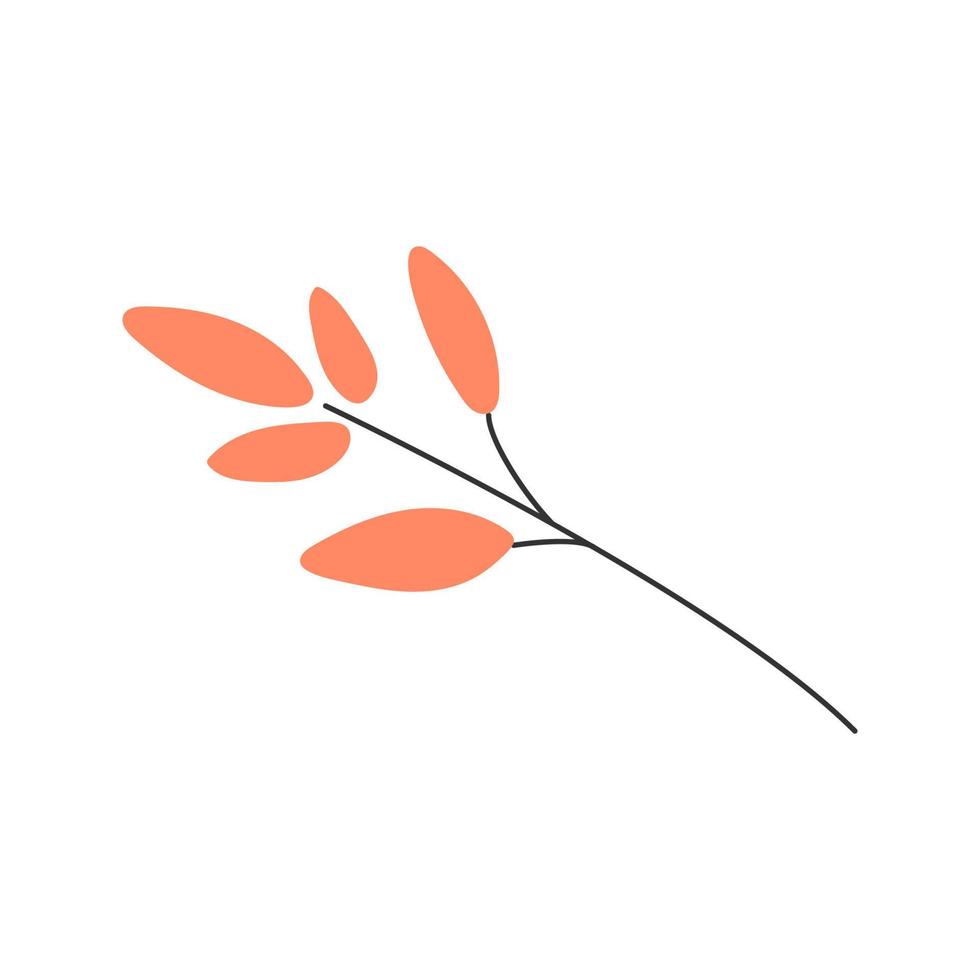 Branch with leaves. Isolated vector illustration on white background