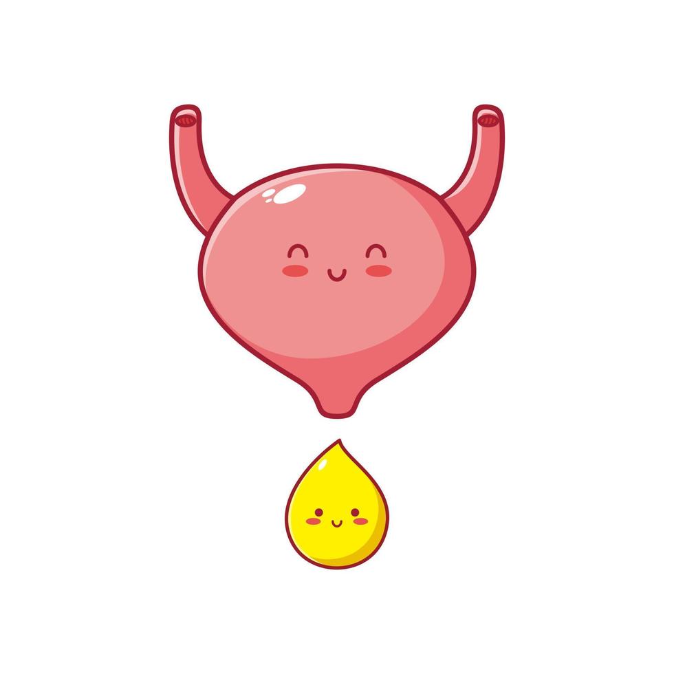 lindo kawaii feliz divertido personaje de órgano de vejiga humana con gota de orina. icono de ilustración de personaje kawaii de dibujos animados de línea plana de vector