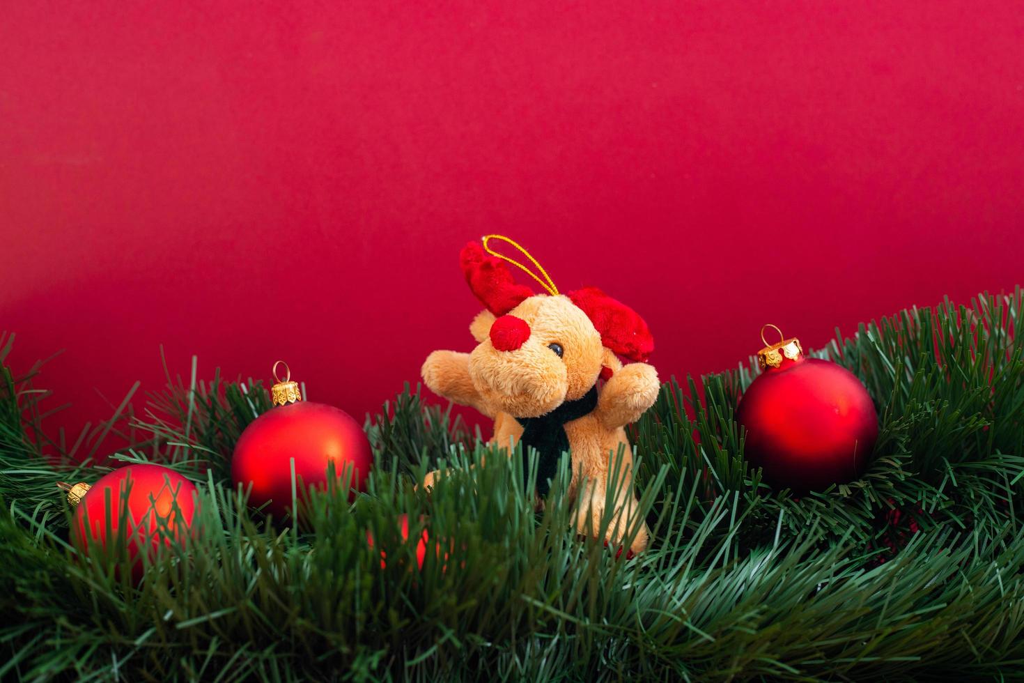 Festive decoration on a red background. Festive banner. photo