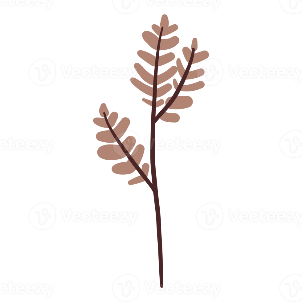 Flower and Leaf Illustration png