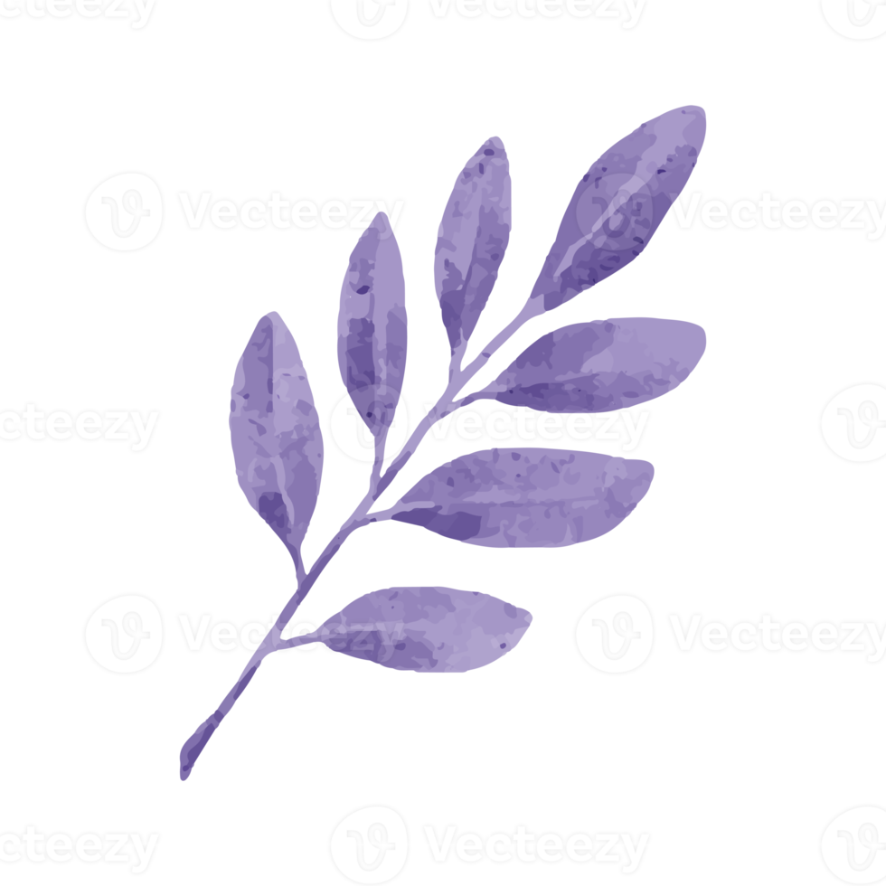 Flower and Leaf Illustration png