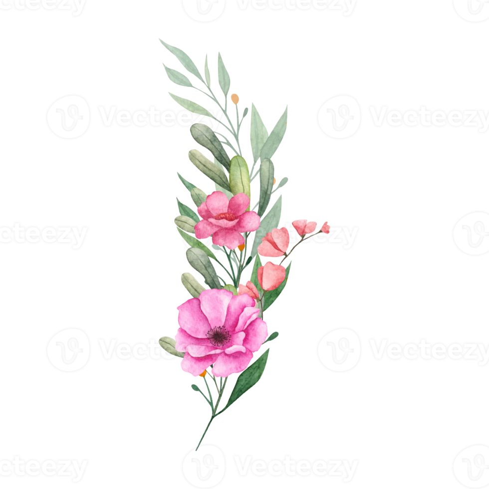 Flower and Leaf Illustration png