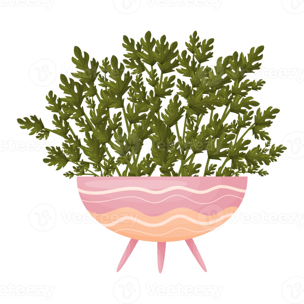 blomma och blad illustration png