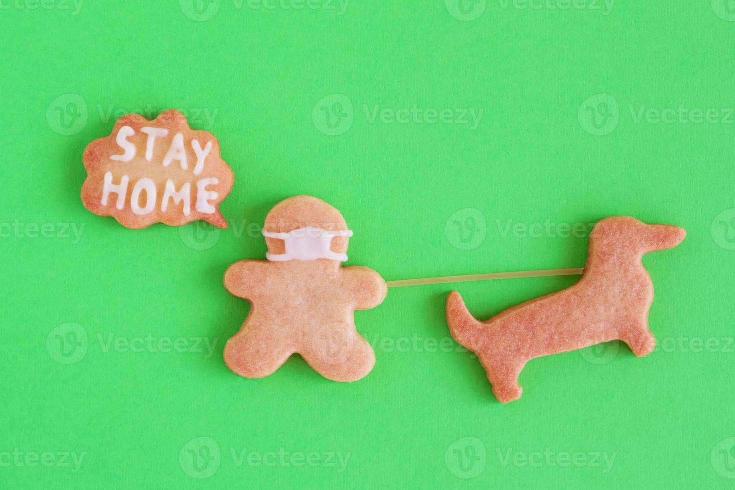 Homemade shortbread cookies with white glaze on green background, top view. Man in face mask and with callout with inscription - Stay home - is walking with dog. Social distancing concept. photo
