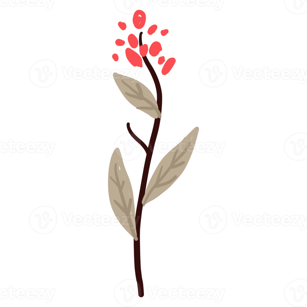 Flower and Leaf Illustration png