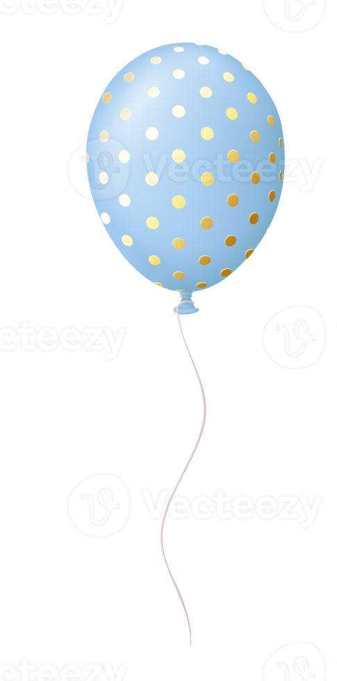 Birthday Party Ornament png
