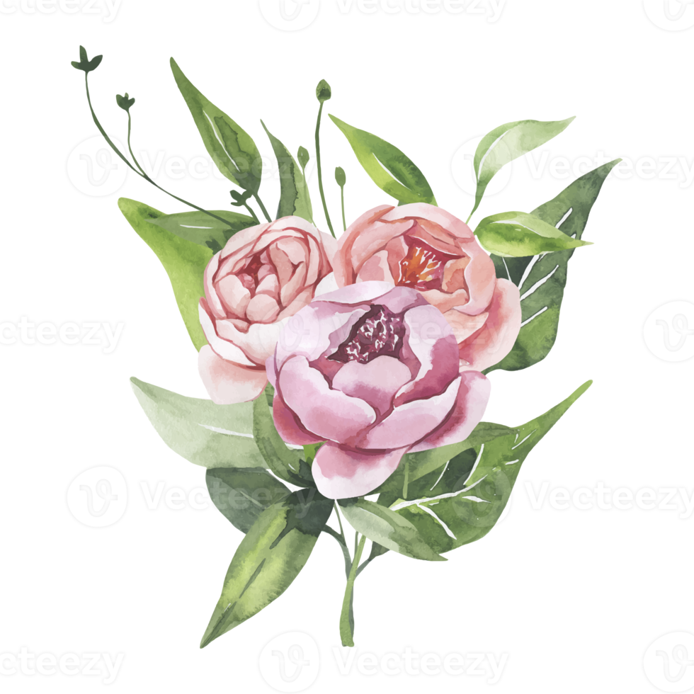 ilustración de flores y hojas png