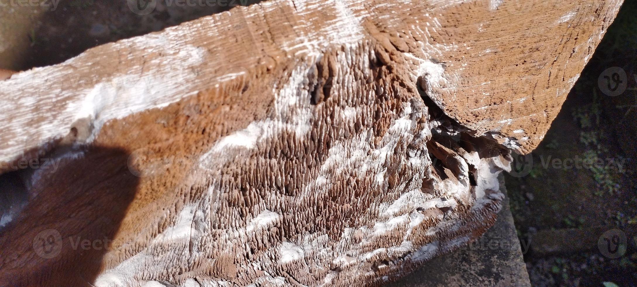 natural aesthetic wood with wood grain on the rough front photo