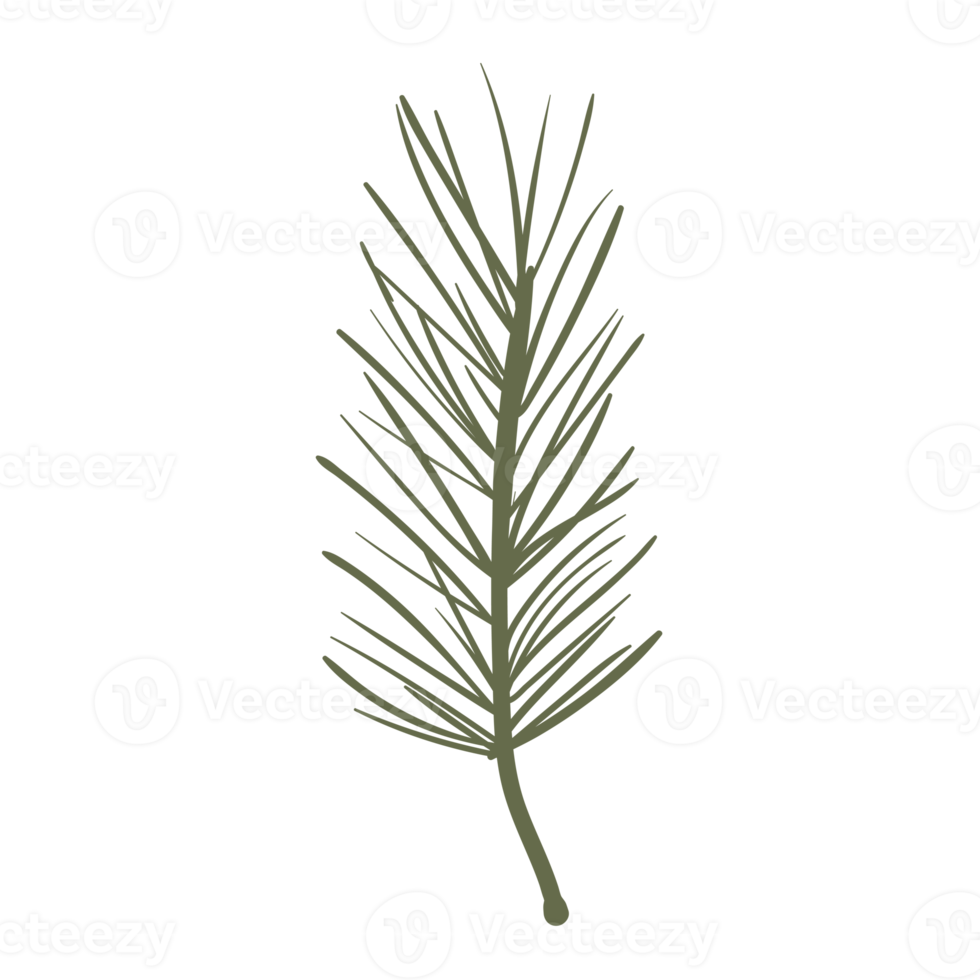 Flower and Leaf Illustration png