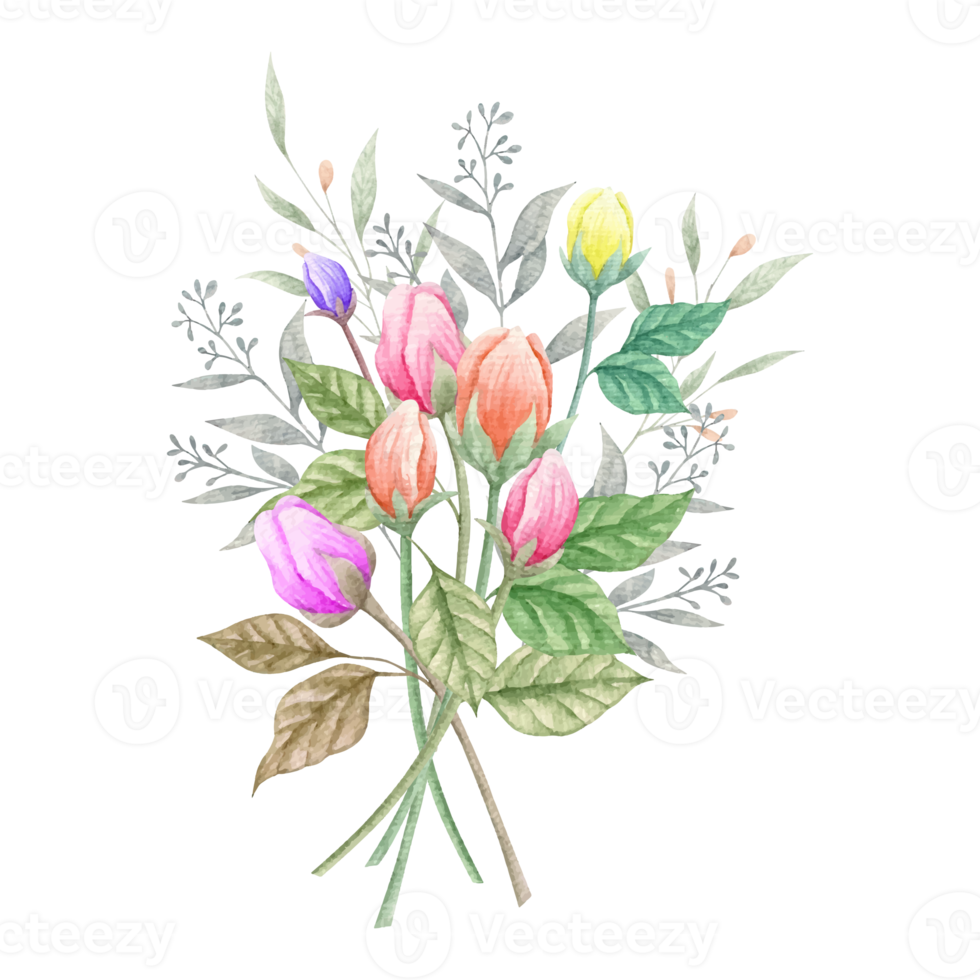 Flower and Leaf Illustration png