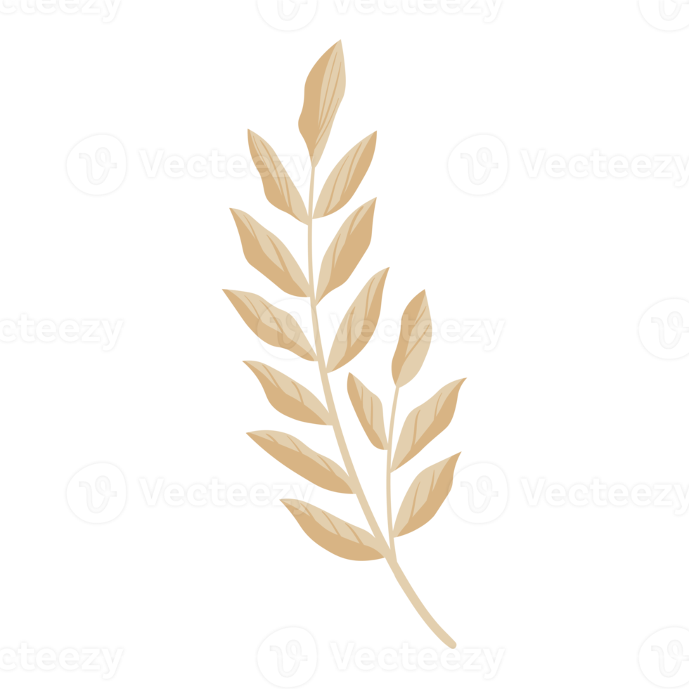 Flower and Leaf Illustration png