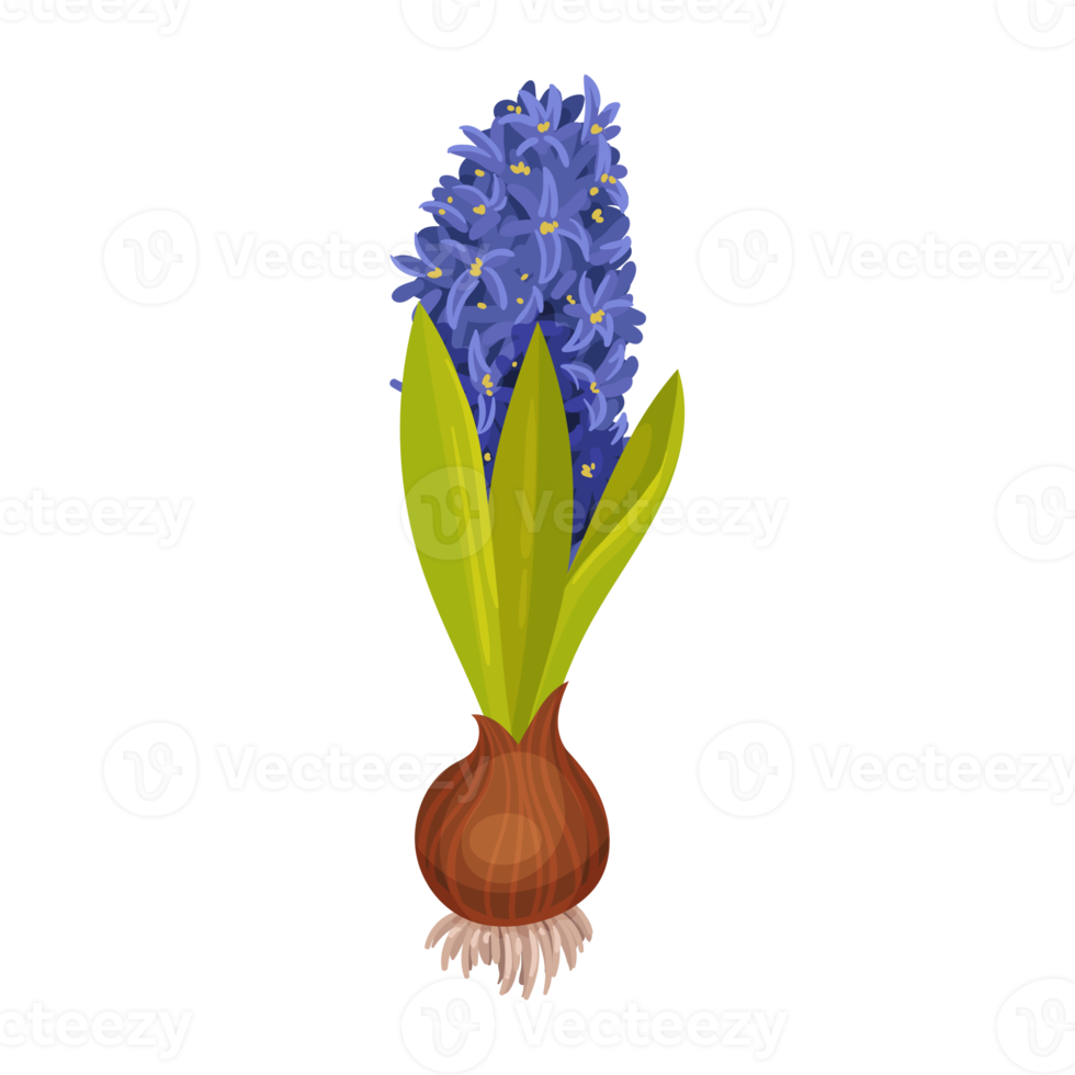 ilustração de flores e folhas png